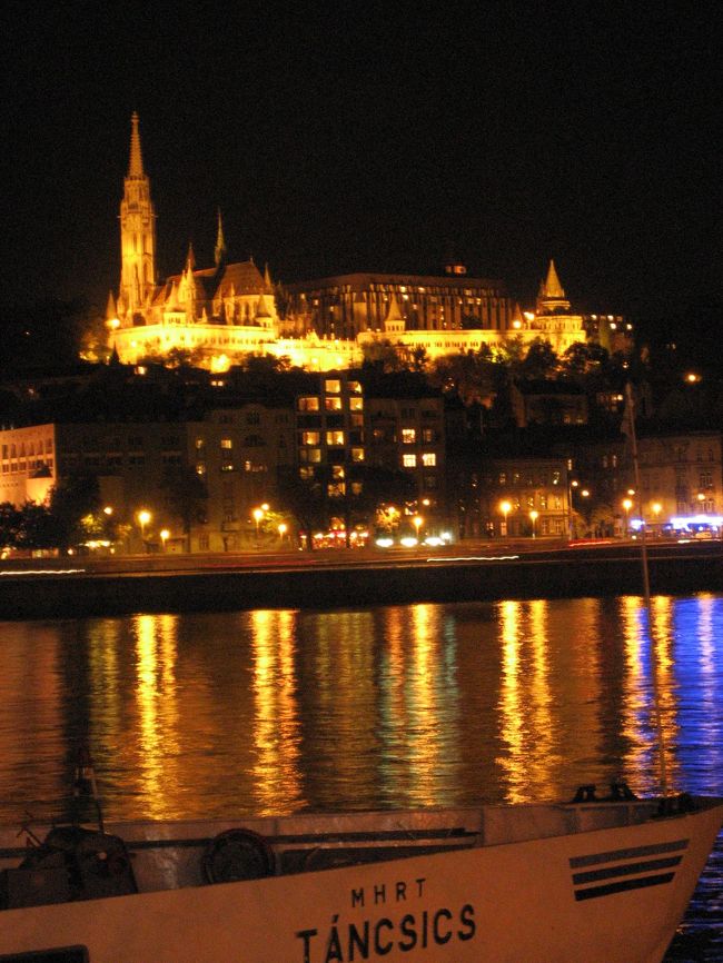 ブダのマーチャーシュ教会と漁夫の砦のあたり<br />ドナウ川に反射するイルミネーションをたっぷり写すために縦で撮りました。