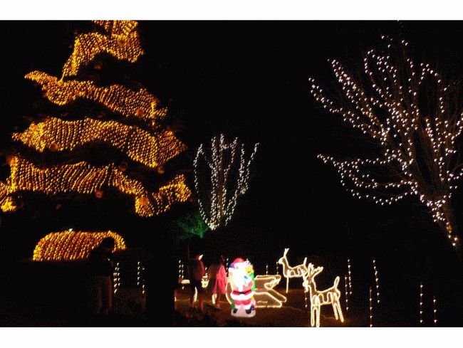 ホテルスタッフの手作りの飾りだそうです