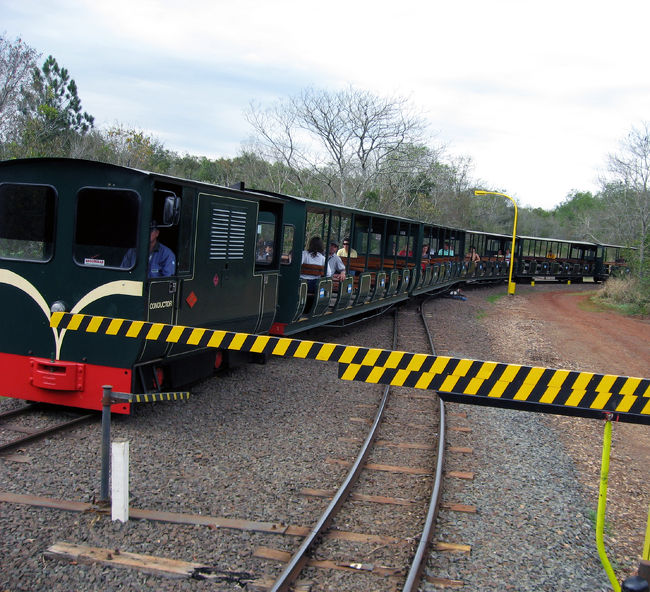 公園内を走っているトロッコ列車です。<br />途中で乗り換えるのですが、夕方遅く帰るときは、直通運転していました