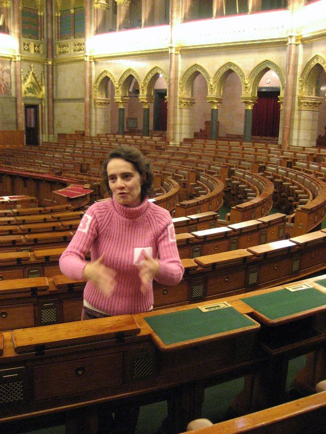 国会議事堂の議場と議事堂ガイドさん