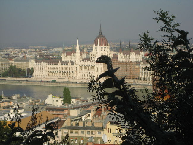 ブダ王宮の丘の漁夫の砦から眺めた国会議事堂<br /><br />これこそ私がブダペストに憧れた原点の眺めです。<br />２年前の2004年にもこうしてブダから見下ろす国会議事堂の写真を撮った覚えがあるのですが、重複したって構うものですか。<br /><br />ブダ側から国会議事堂を見下ろすのは、逆光にならない午後がベストです。<br /><br />でもあいかわらず一部修復中です。<br />それが目立つと興ざめなので、ちょいと枝で隠せないか努力してみました。