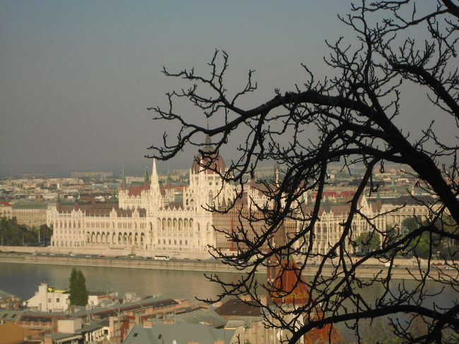 ブダ王宮の丘の漁夫の砦から眺めた国会議事堂<br /><br />少し場所を移動して撮りました。<br />手前の枯れ木の枝ぶりも気に入っています。<br /><br />おまけ<br />2004年に王宮の丘の漁夫の砦から撮った国会議事堂の写真<br />http://4travel.jp/traveler/traveler-mami/pict/10409365/<br />2004年に王宮（国立美術館）から撮った国会議事堂の写真<br />http://img.4travel.jp/img/tcs/t/album/src/10/03/12/src_10031269.jpg?00000000000000<br />関連の旅行記<br />http://4travel.jp/traveler/traveler-mami/album/10031269/