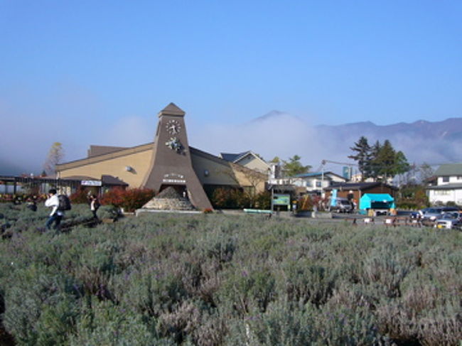河口湖自然生活館前。湖畔前にラベンダー畑が広がっています。<br />このあたりは駐車場も無料です。