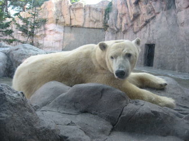 僕カイだけどなんか用？