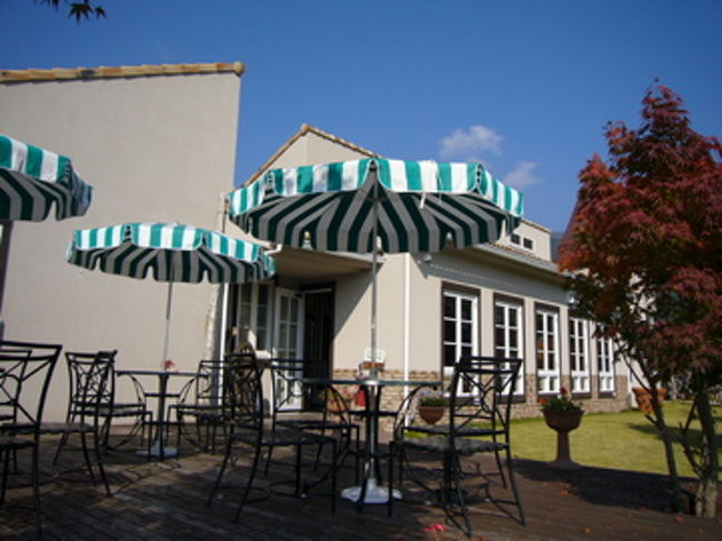 木の花美術館の奥にカフェテラスが。もちろん、まだ開いてません（泣）