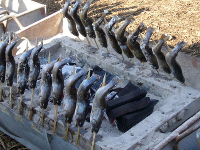 テントでは鮎の塩焼きやシシ汁、そばなど軽食が多い。<br />そして朝食はシシ汁となりました。ここで食べてしまった為、念願のほうとうを食べ忘れてしまいました（泣）