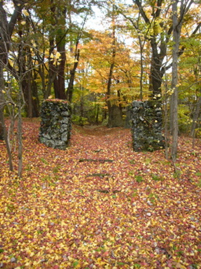 ここは東京大学の合宿所敷地内なので中には入れませんが、穴場スポット。<br />落ち葉の絨毯がとても美しい