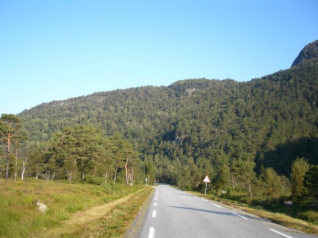 あまりの天気の良さにもう一度、プレーケストーレンへ行こうか迷いましたが、この日の宿はクリスチャンサンのユースを予約していたので、行くのは諦めました。<br />来たときと同じようにタクシーでバス停まで行こうかと思いましたが、わざわざタクシーを呼ぶのも悪いなあと思い、とりあえず、歩いて下り始めました。<br />
