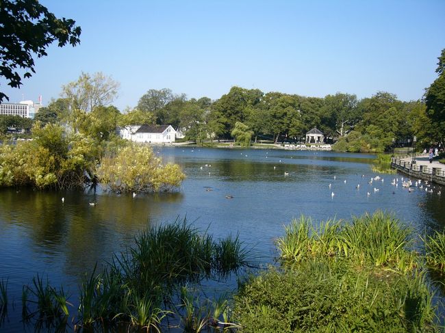 スタヴァンゲルに着きました。<br />駅のそばにプレイア湖があります。<br />スタヴァンゲルは素通りでしたが、なかなかきれいな街のようでした。<br />ここからバスでクリスチャンサンへ向かいます。<br />14時30分発18時45分クリスチャンサン着。<br />バス代は340NOKでした。