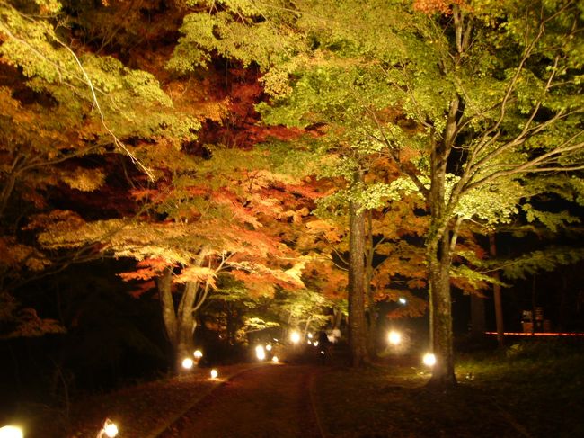 んんっ、あんまし期待してなかったワリに、結構いいんでないか〜、ココッ！　このあたりの紅葉がいちばんキレイでした(^^)