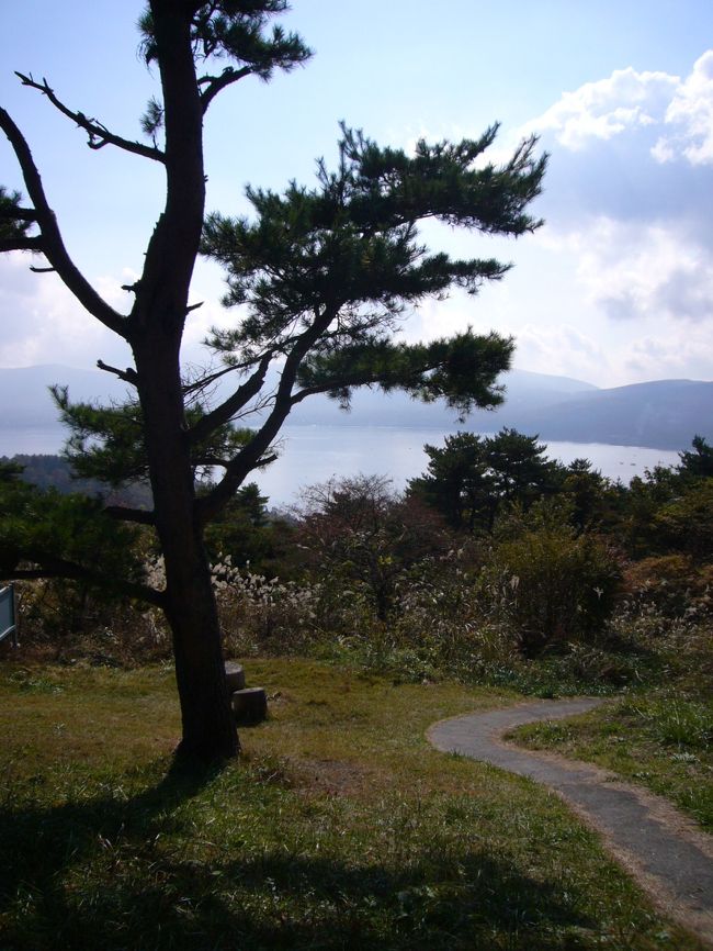松の木ごしの山中湖。<br />この日の朝にはこのあたりから富士山もクッキリ見えたらしいンですが、この時間（AM10時）には雲がかかっていてほとんど見えませんでした。　残念(T_T)
