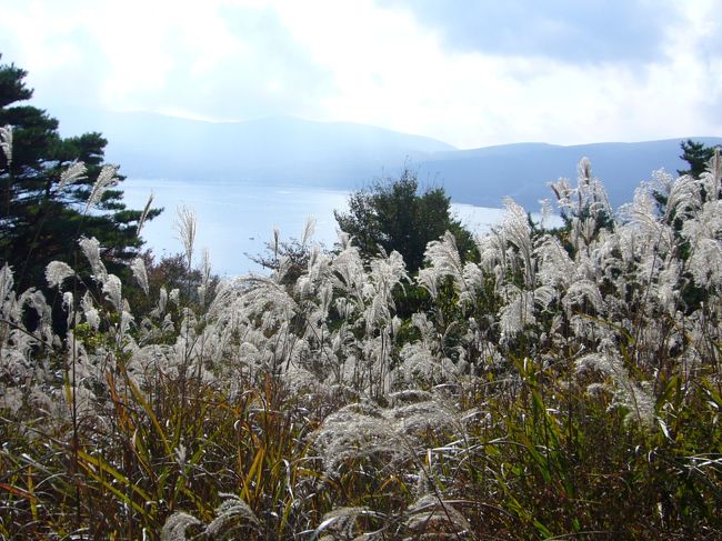 ススキ越しの山中湖。<br />そう言えば、箱根・仙石原のススキも、今ごろちょうど見ごろなンでしょうねぇ。