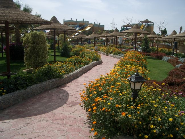 水遊びに満足したので、帰りのバスを待つのをやめて、<br />大して遠くない自分達のホテルに歩いて帰る事に。。。<br /><br />その前にこのホテルのお庭をちょっとお散歩。<br />ここも花が植えられてて、キレイ。<br />ホテルから出たら砂漠！なんて信じられないよね。