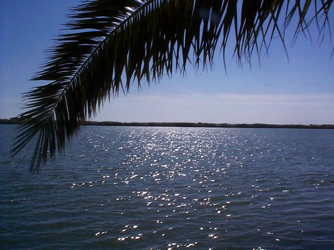 『エブロ川の三角州、自然保護地区、南カタルーニャ』カタルーニャ地方(スペイン)の旅行記・ブログ by バルセロナ観光さん【フォートラベル】