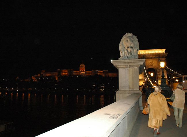 これからブダ地区まで歩いて橋を渡ります。<br />