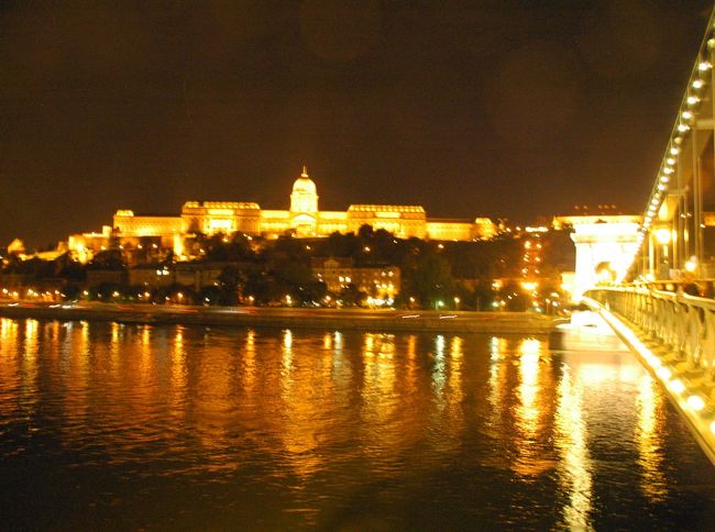 何度挑戦しても大ブレですがドナウ河に映って綺麗でした。