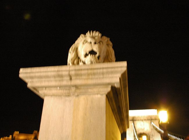 手振れのせいか？写真でライオンの顔を下から見ると全然怖そうじゃなく間抜け顔で面白い。正面から見た時は橋を守っているぞ！と威厳があったように見えたのですが・・・