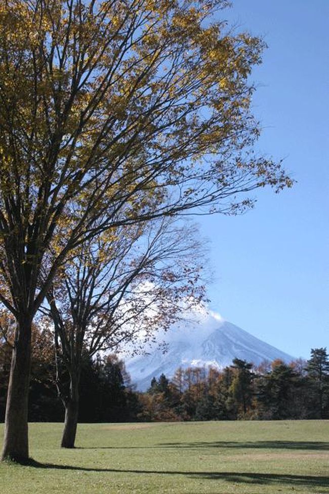 パインズパークにて