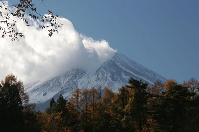 パインズパークにて