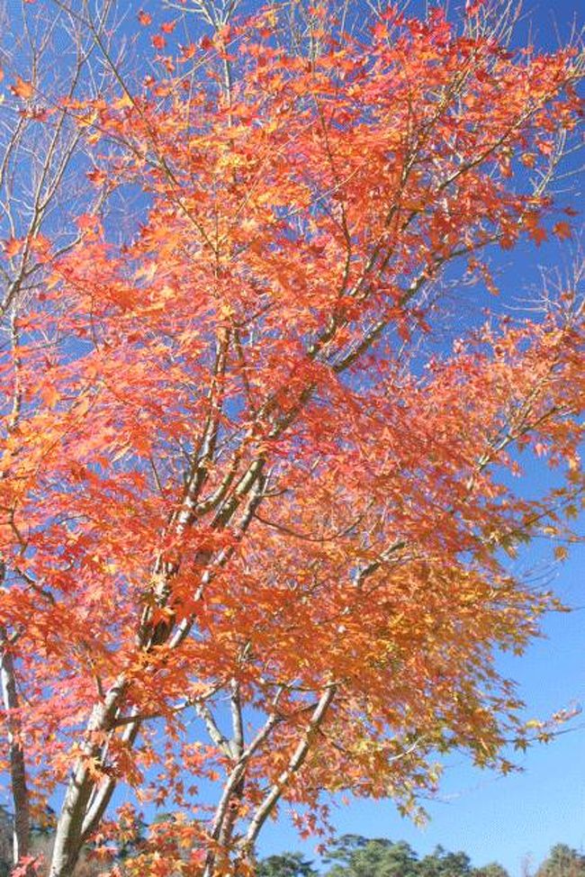 パインズパークにて