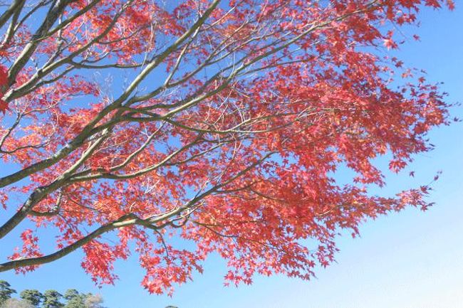 パインズパークにて