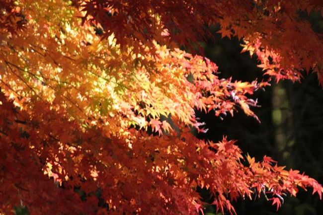 パインズパークにて