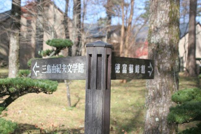 この中には、「徳富蘇峰館」「三島由紀夫館」があります。私は、そちらには興味がないので公園内の紅葉を探索してきました。