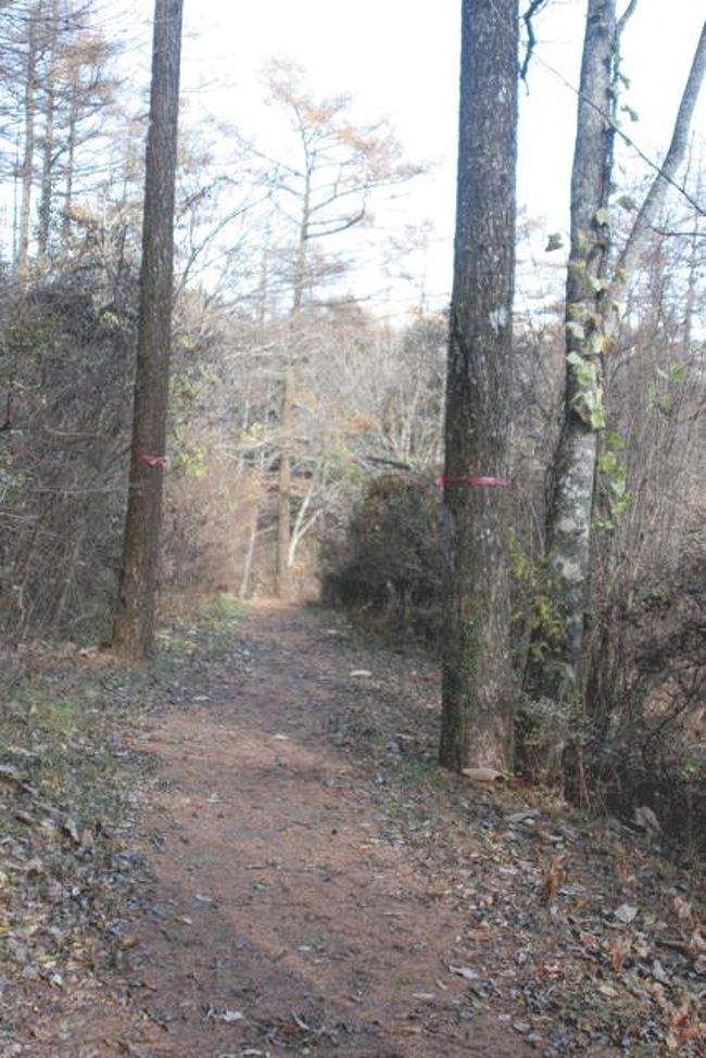 このような道があり、グルッと１周してきました。