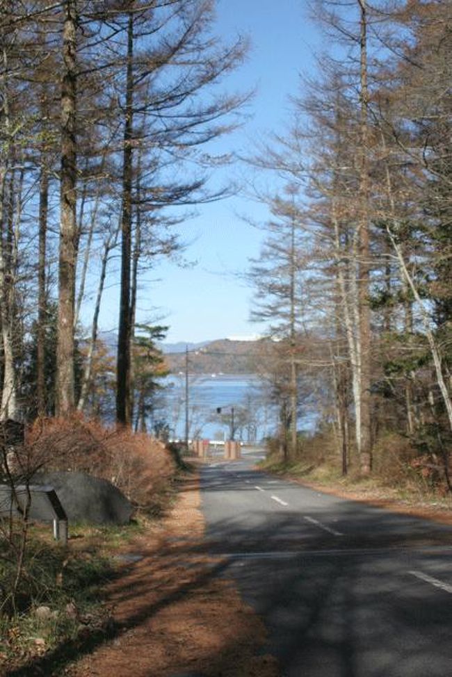 坂の下に山中湖が見えます。