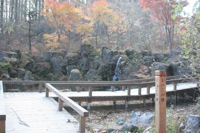 とっこの橋です。この橋を渡ると小さな滝があります。