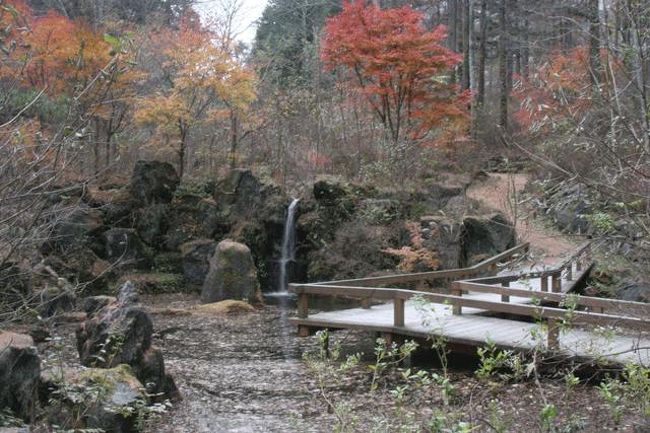 左奥に小さな滝が見えました。