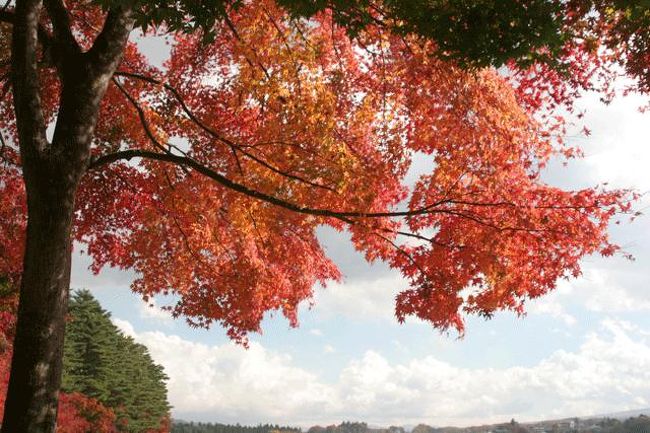 ↑の場所から少し西に行ったところです。