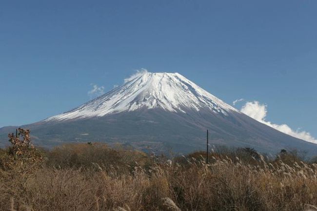静岡県と山梨県の県境付近です。