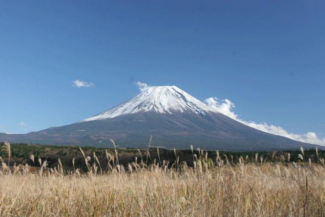 静岡県と山梨県の県境付近です。