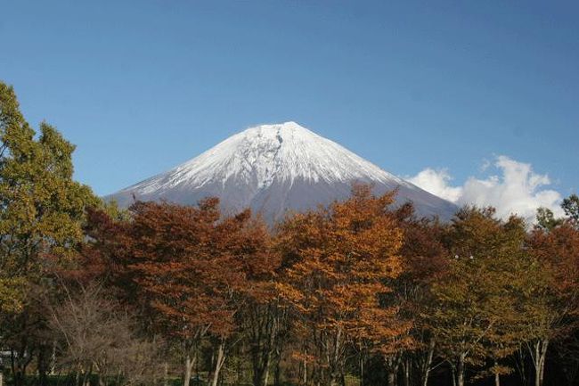 まかいの牧場付近にて