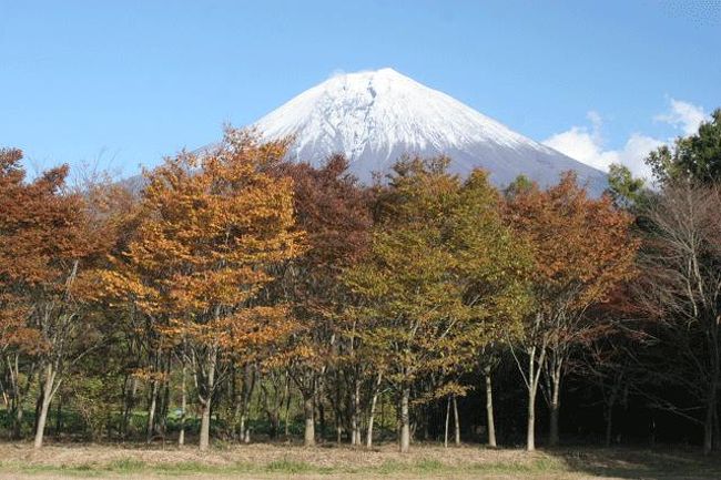 まかいの牧場付近にて
