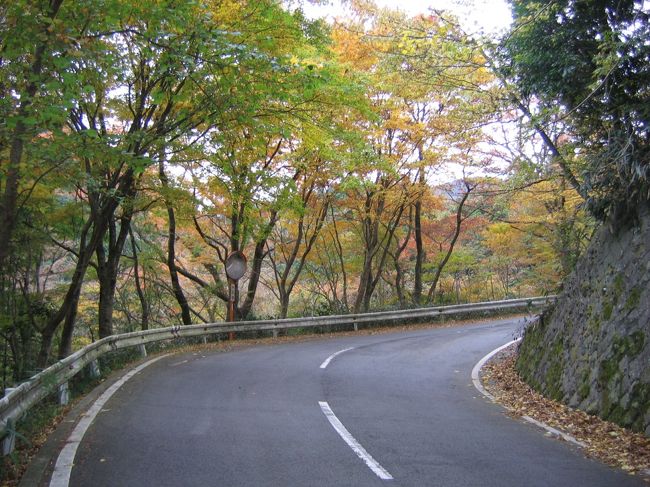 さあ、本格的な登りです。