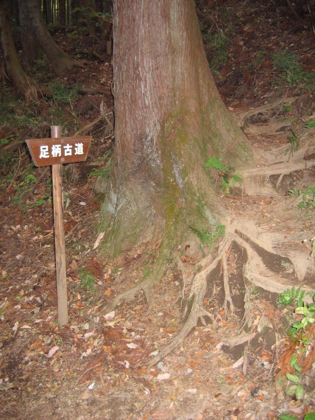 県道脇に旧道「足柄古道」の入り口を発見。