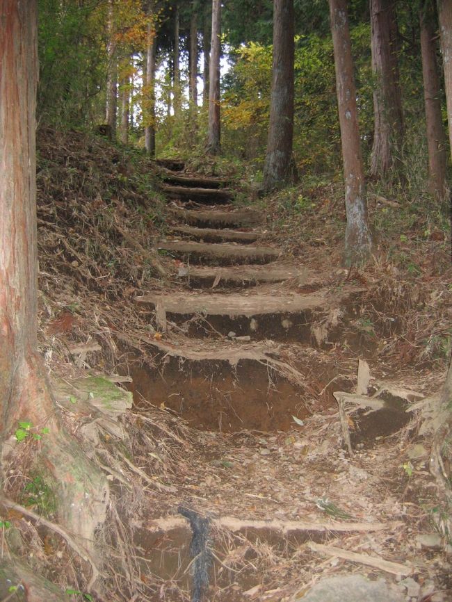 結構急な道です。汗が滴ります。