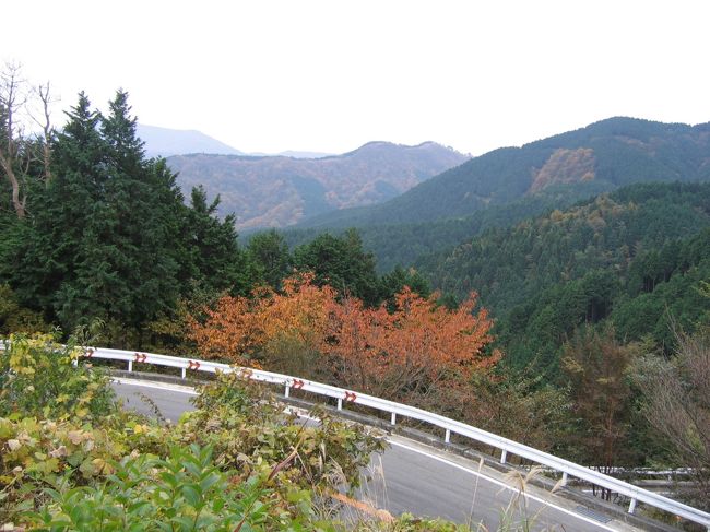 だいぶ登りました。一休み。