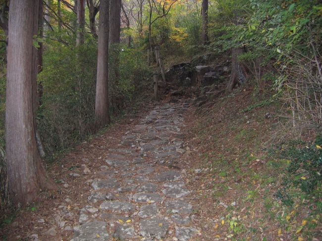 ピークが近くなると、道が石畳になります。歩きにくい･･･。