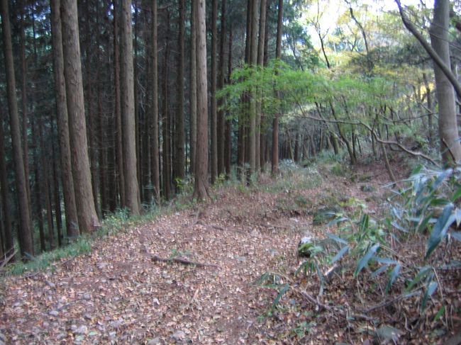 「古道」は静岡県側でも整備されています。