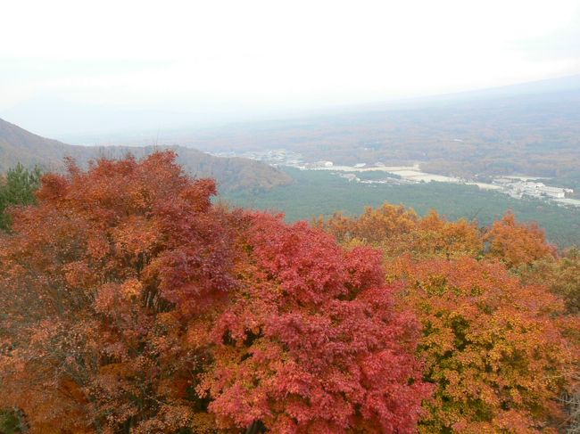 昨年も来た紅葉台です。<br />
