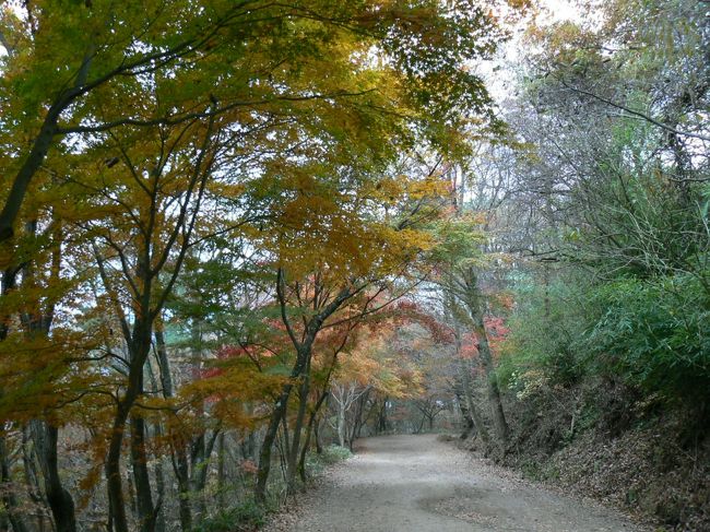 途中の道でもわりときれいな紅葉が見られました。