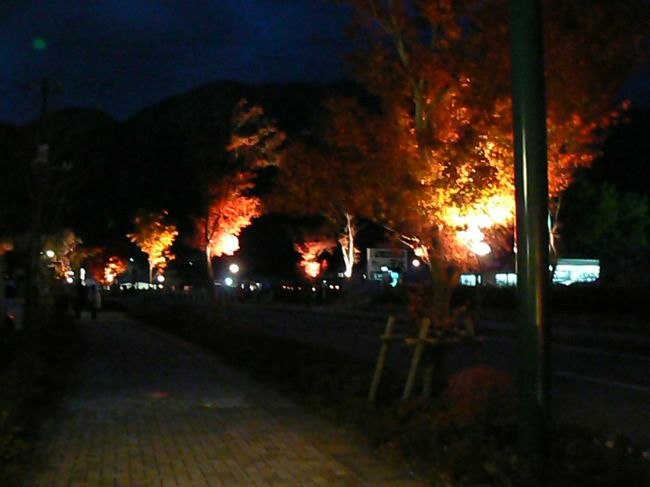 紅葉まつり会場へ向かいます。