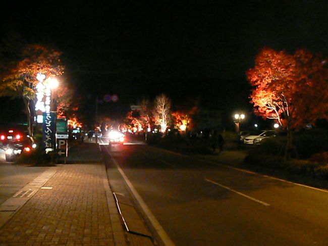 紅葉まつり会場をあとにします。（高感度）