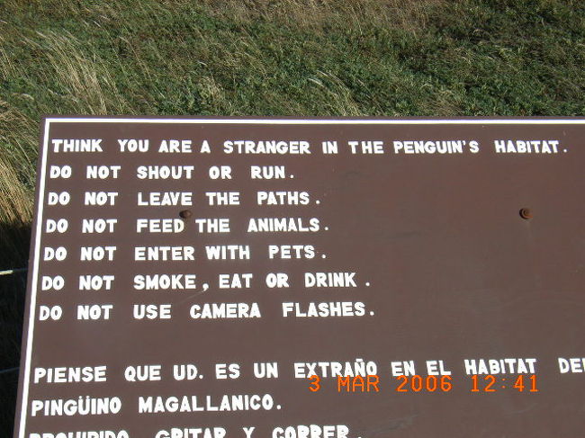 ペンギンにやさしく