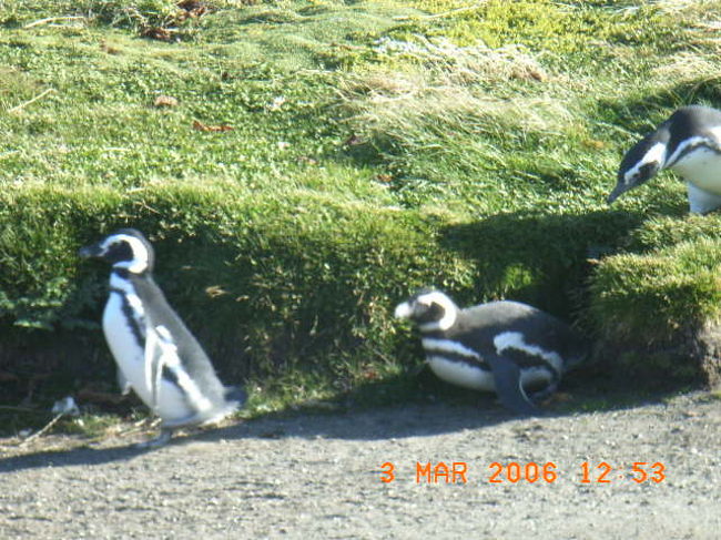 今日は調子がいいなぁとか、