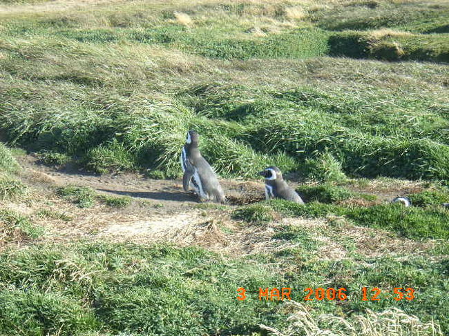 今日はだるいな〜とか、