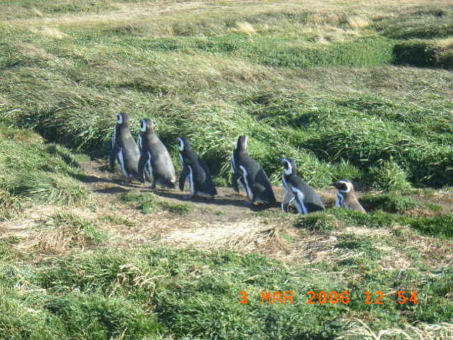 お腹減ったなぁとか。